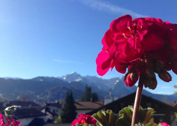 Ferienwohnung Gruss Aus Partenkirchen