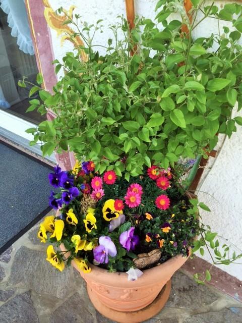 Gruss Aus Partenkirchen Appartement *